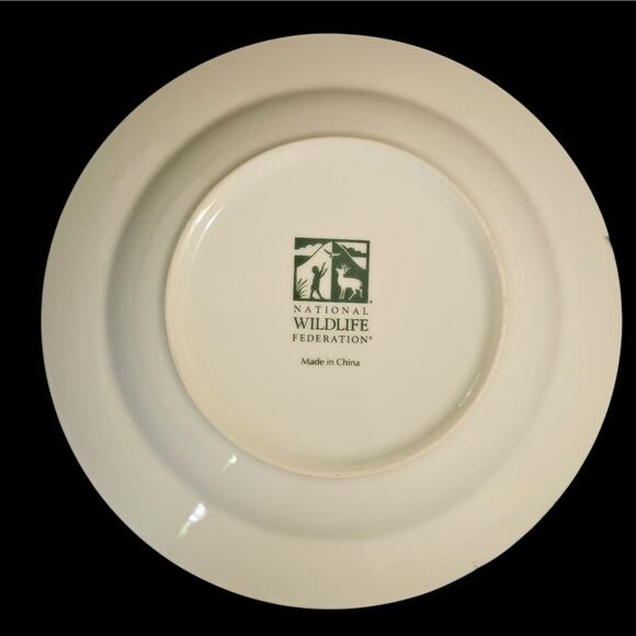 National Wildlife Federation Bird Bowls Set of 4 – 8" Soup/Cereal Songbird Green - Picture 7 of 8